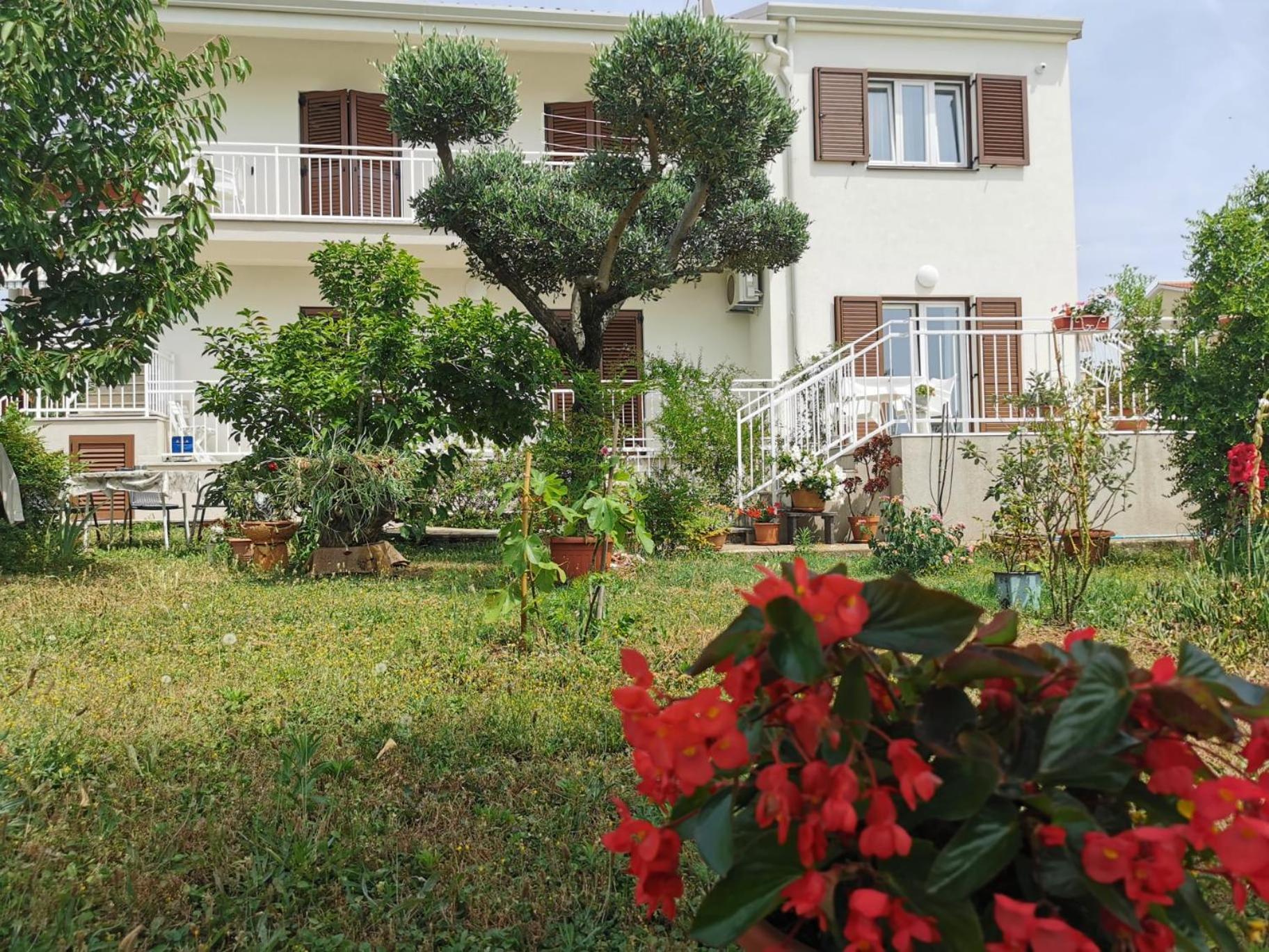 Residence Pical Poreč Dış mekan fotoğraf